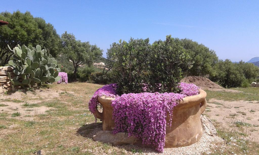 Stazzu Gallurese Villa Portisco Bagian luar foto